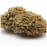 Шишки AK47 (Гидропоника, Бошка) VHQ в Геленджике Шишки AK47 (Гидропоника, Бошка) VHQ в Геленджике