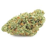 Шишки OG Kush (Гидропоника, бошки) VHQ в Геленджике Шишки OG Kush (Гидропоника, бошки) VHQ в Геленджике